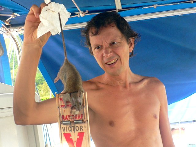 167- Un seul rat sur le navire 